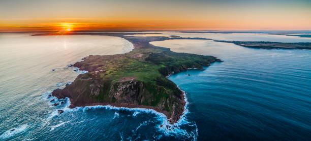 phillip island | wheelchair accessible day tour