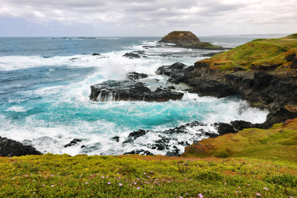 phillip island | wheelchair accessible day tour
