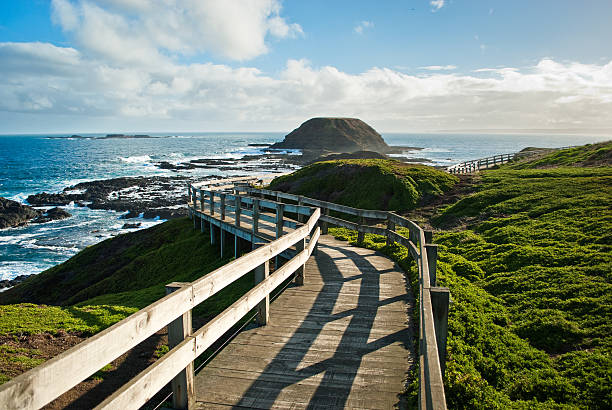 phillip island | wheelchair accessible day tour