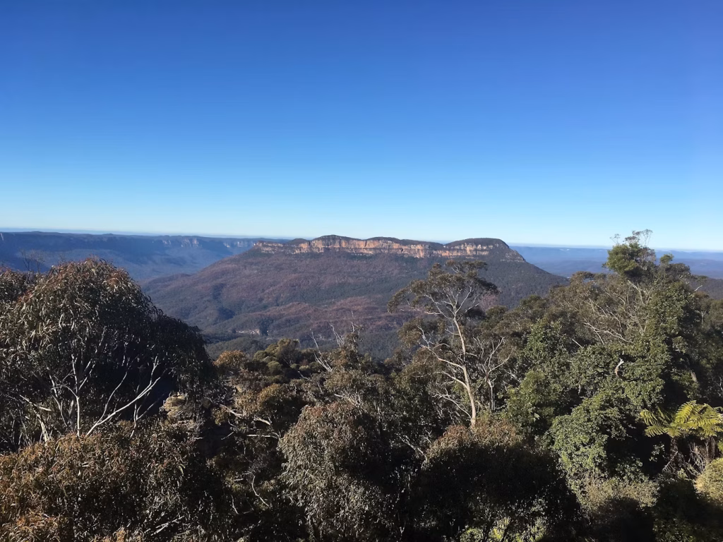 blue mountains | sydney wheelchair accessible tour