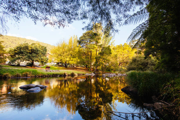 Warburton | wheelchair accessible day tour
