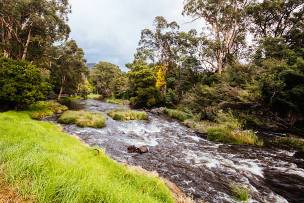 Warburton | wheelchair accessible day tour