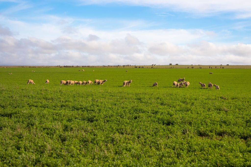 shepparton | wheelchair accessible day tour