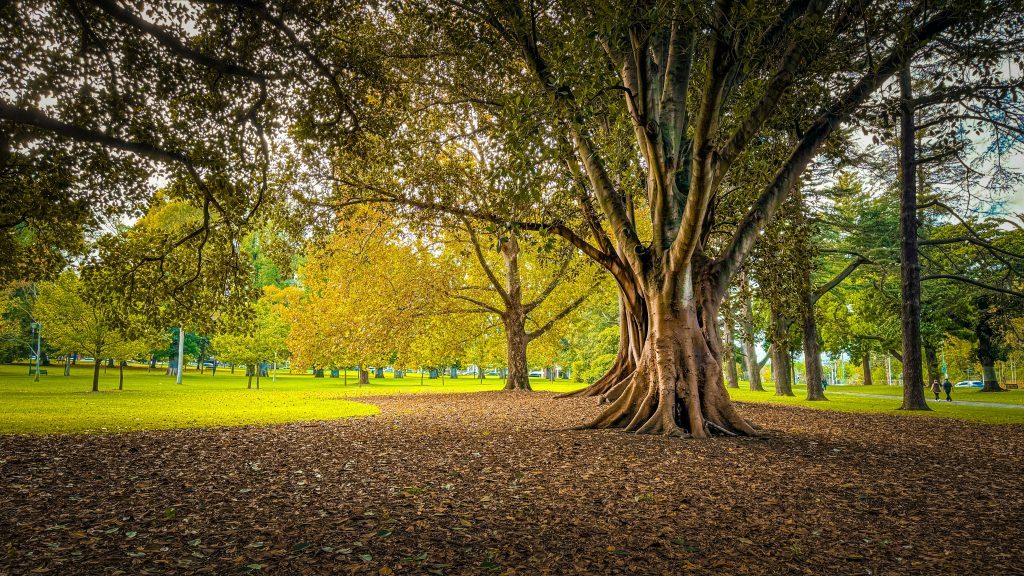 Fitzroy Gardens | Imax | Wheelchair Accessible Day Trip Melbourne