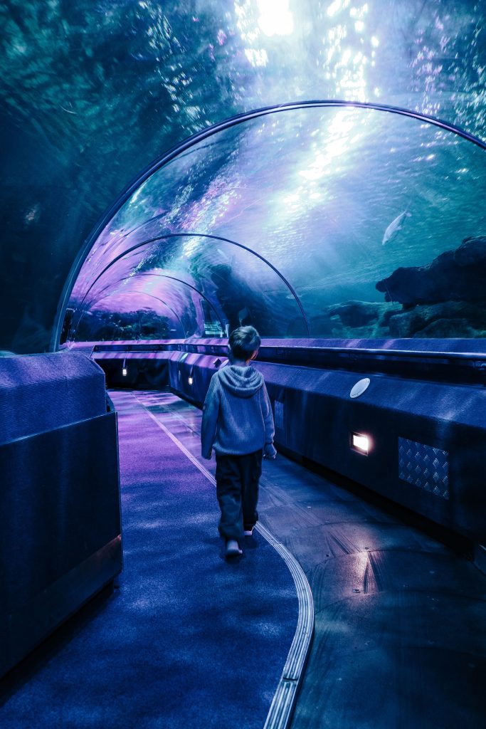 Sea life | Wheelchair Accessible Melbourne