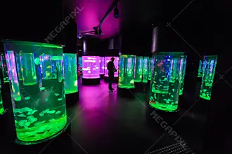 sea life sydney | sydney wheelchair accessible tours