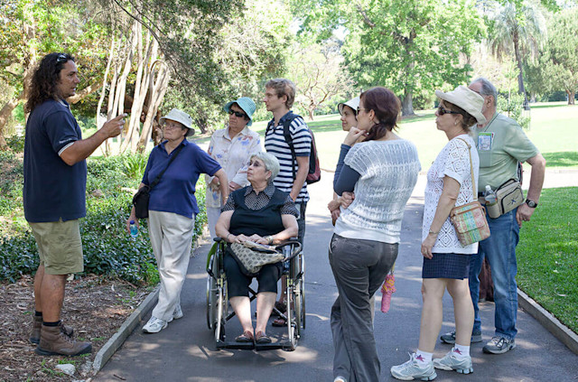 wheelchair accessible activities Sydney