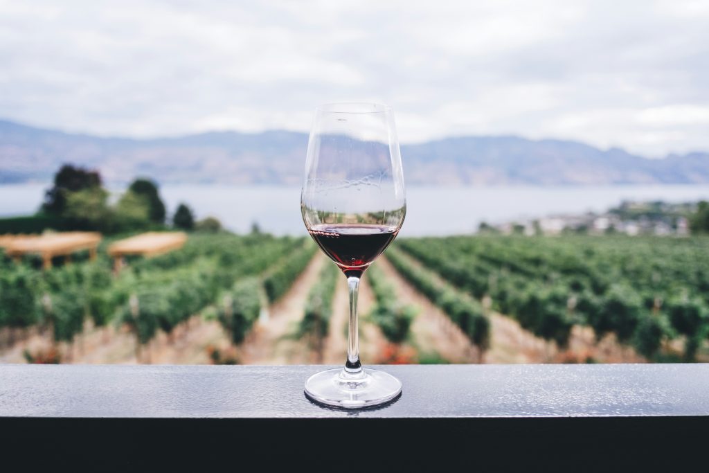 winery | yarra valley wheelchair accessible day tour