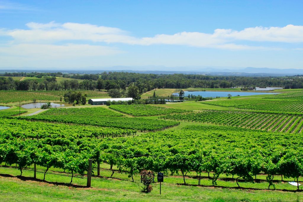 yarra valley wheelchair accessible day tour